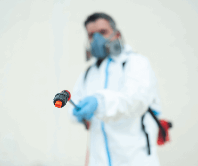 Fumigación en Fuengirola