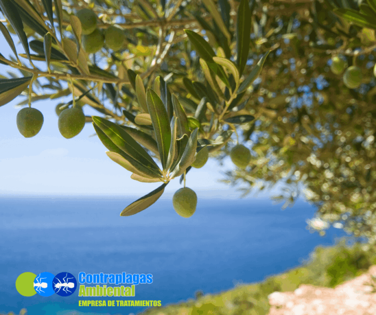 Las plagas más temidas en 2020